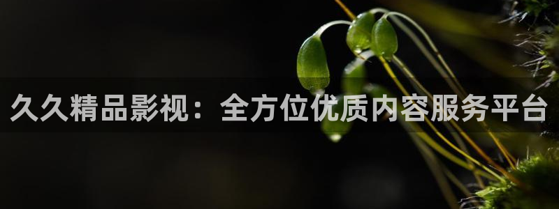 酷客影院在线免费看高清电影：久久精品影视：全方位优质内容服务平台