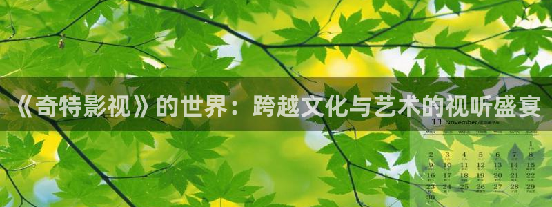 在线观看酷客影院：《奇特影视》的世界：跨越文化与艺术的视听盛宴
