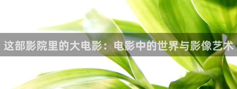 免费手机影院酷客影院：这部影院里的大电影：电影中的世界与影像艺术