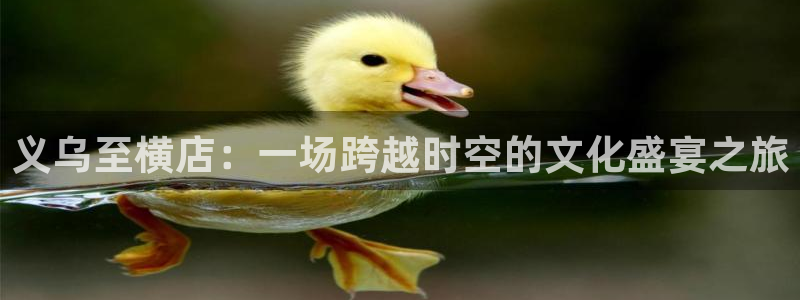妈妈的朋友酷客影院：义乌至横店：一场跨越时空的文化盛宴之旅