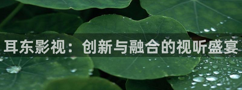 酷客影院在线播放免费观看手机：耳东影视：创新与融合的视听盛宴