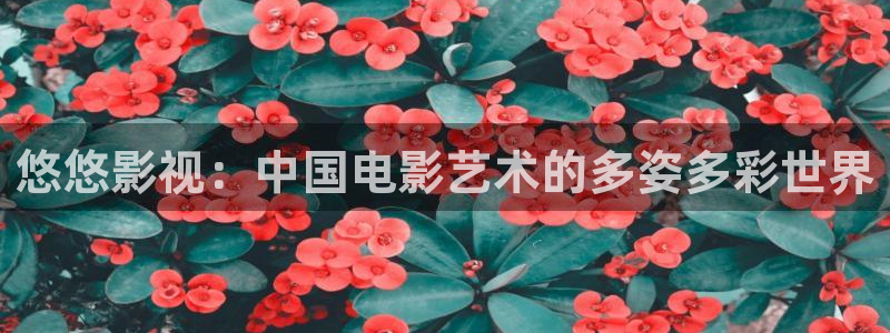 酷客在线影视免费观看：悠悠影视：中国电影艺术的多姿多彩世界