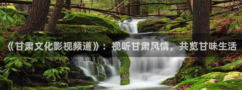 酷客影院电影推荐：《甘肃文化影视频道》：视听甘肃风情，共览甘味生活